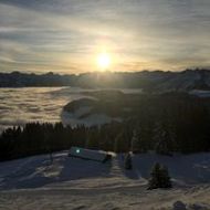 Elisabeth Weissenbach