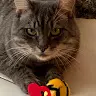 Frieda