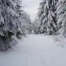 Lini