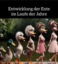 Didi