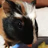 Riki Pro