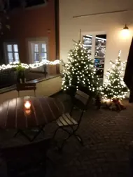 Nachhaltig Trend Shopping