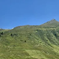 Barbara Netzer - Raich