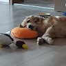 Markus