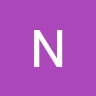 Neslande Nesland