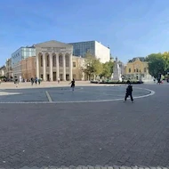 karabasevic Sinsa