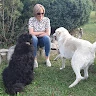 Beate Fonti
