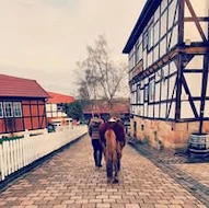 Corina Wohlfart