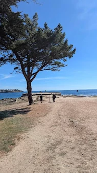 Tanja.B