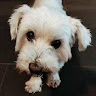 Sabrina S. 
