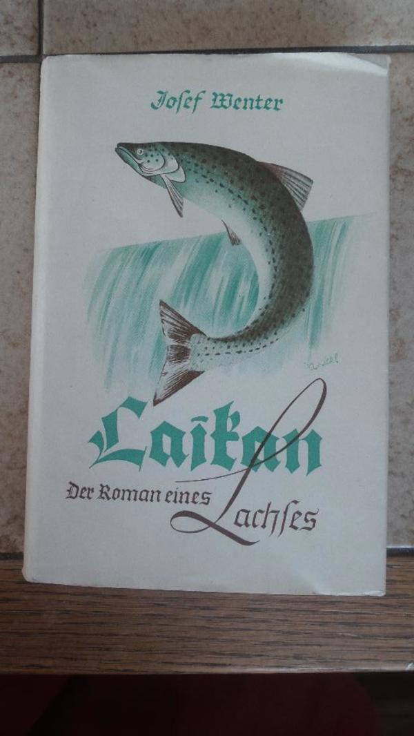 Laikan, der Roman eines Lachses