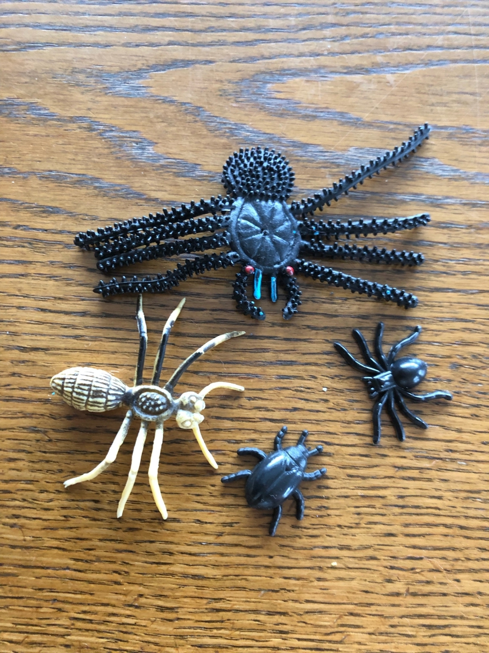 Spinnen für Gruselparty, Halloween