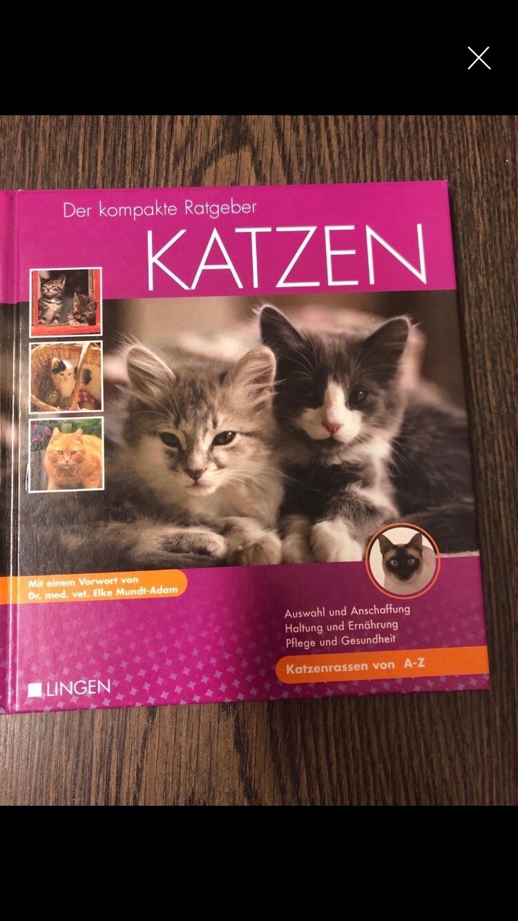 Für Katzenfans: diverse Bücher etc. ab 1,50 Euro