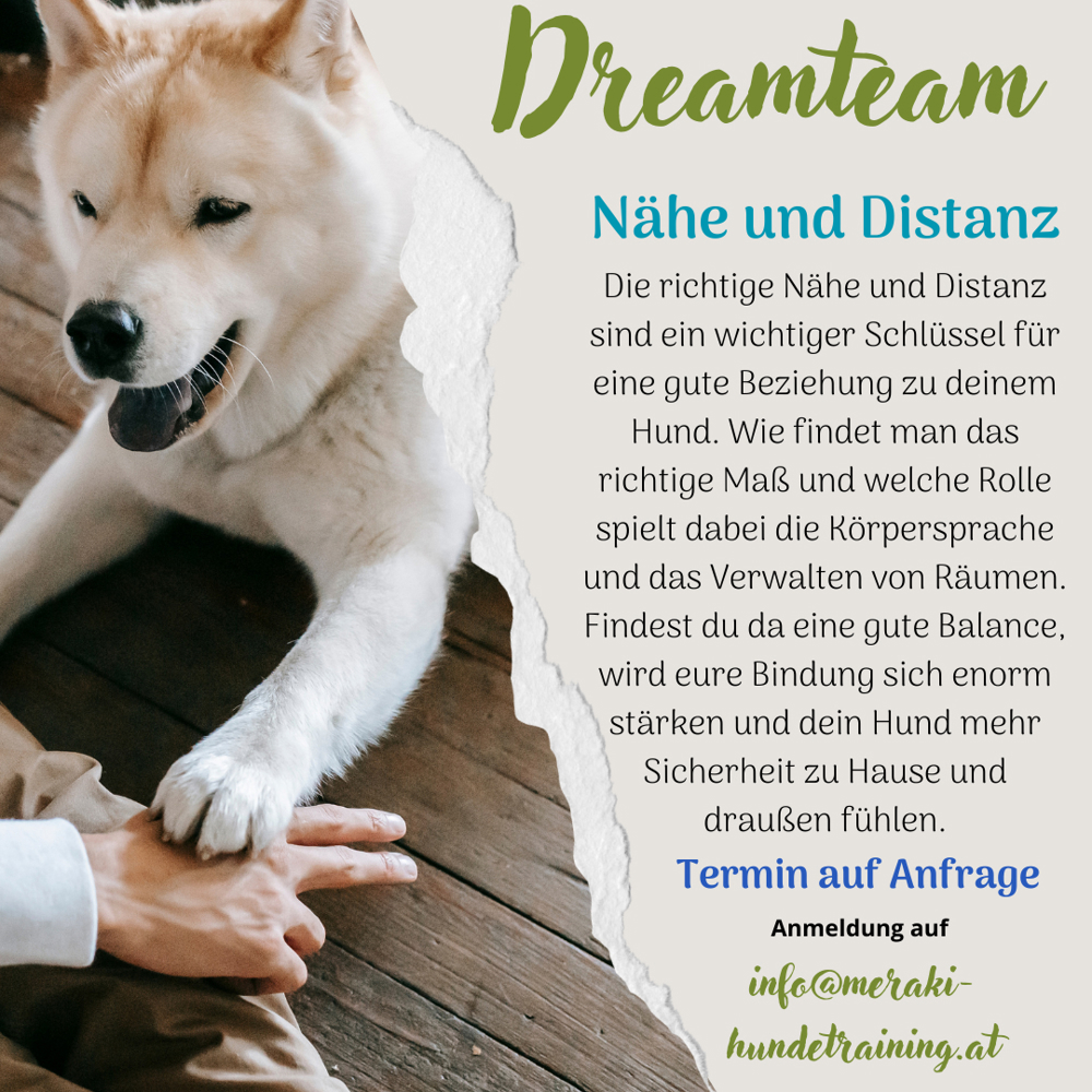 Hundetraining Dreamteam - Nähe und Distanz