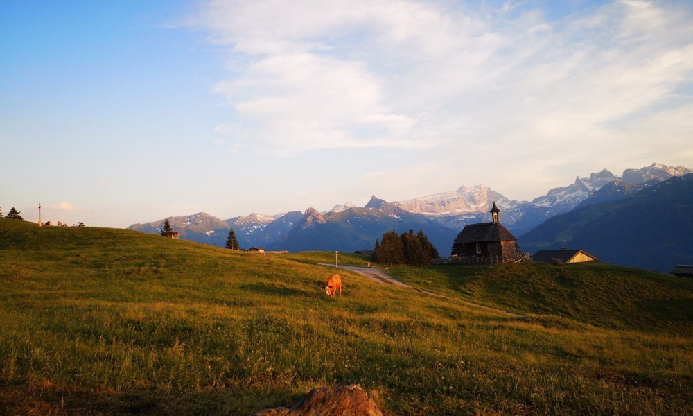 geführte GENUSSWANDERUNG Alpen_Blick Bartholomäberg, Montafon wandern mit Wanderführer in  gemsli