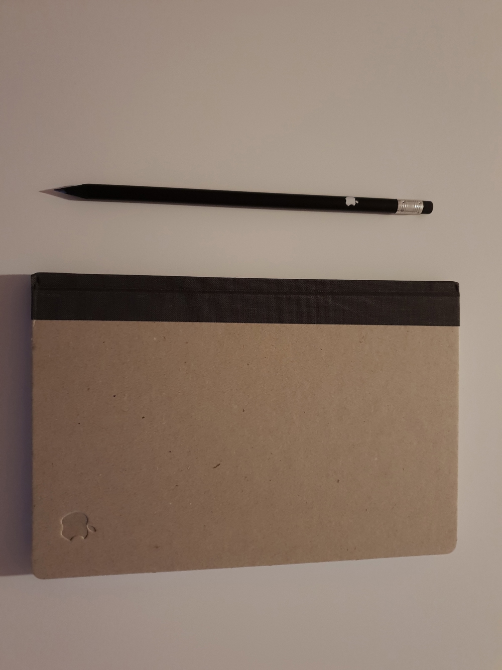 Original Apple Bleistift und Notizblock