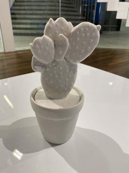 Kaktus Keramik