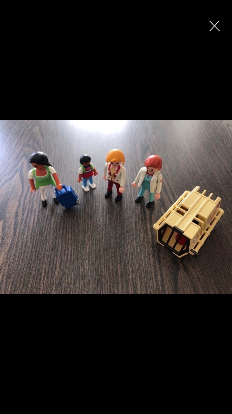 Playmobil: Hund mit Transportbox, Ärztin, Stewardess etc.