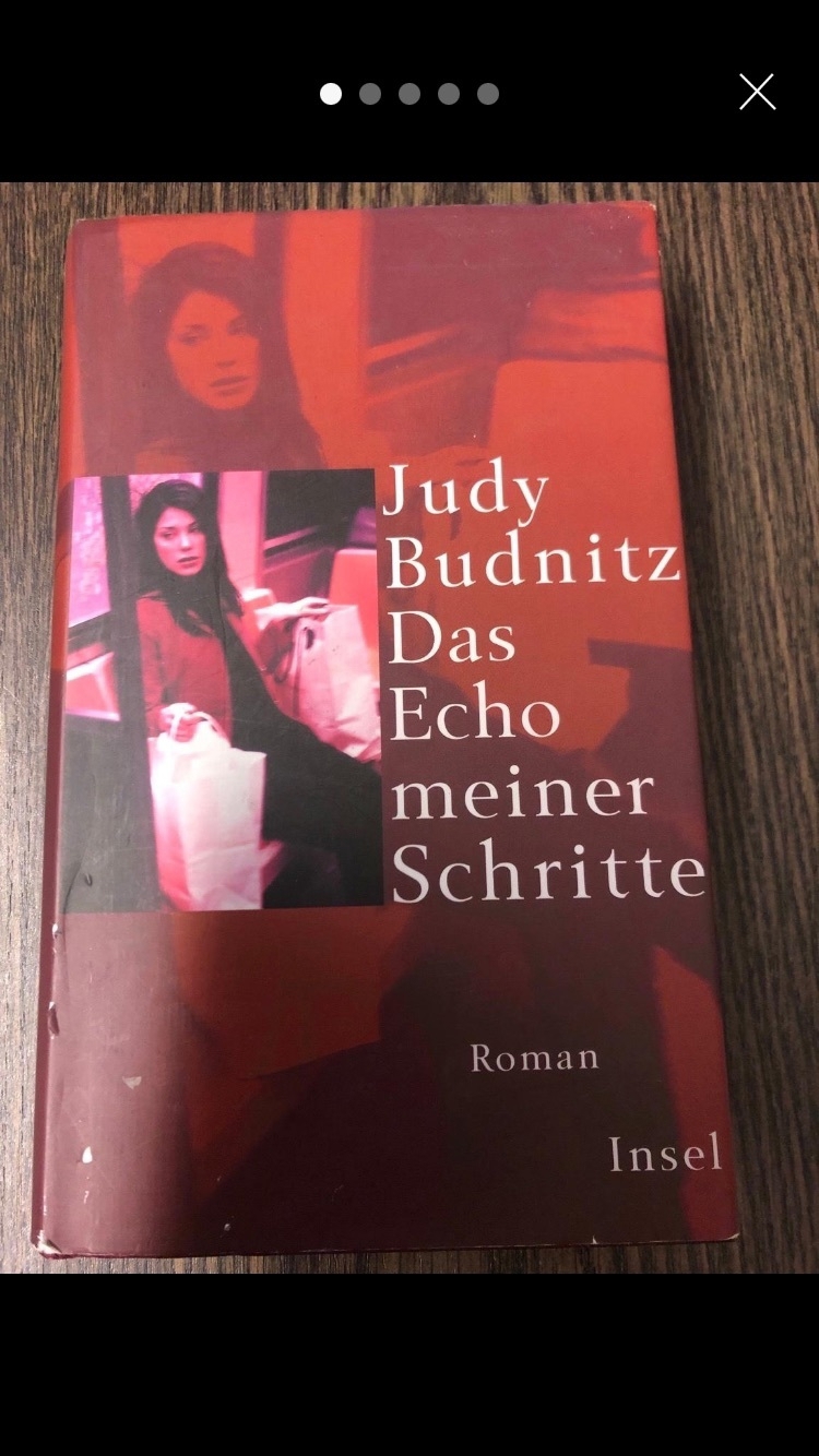 Das Echo meiner Schritte, Judy Budnitz