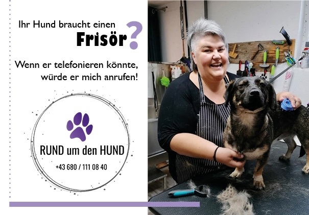 Ihr Hund braucht einen neuen Haarschnitt ?