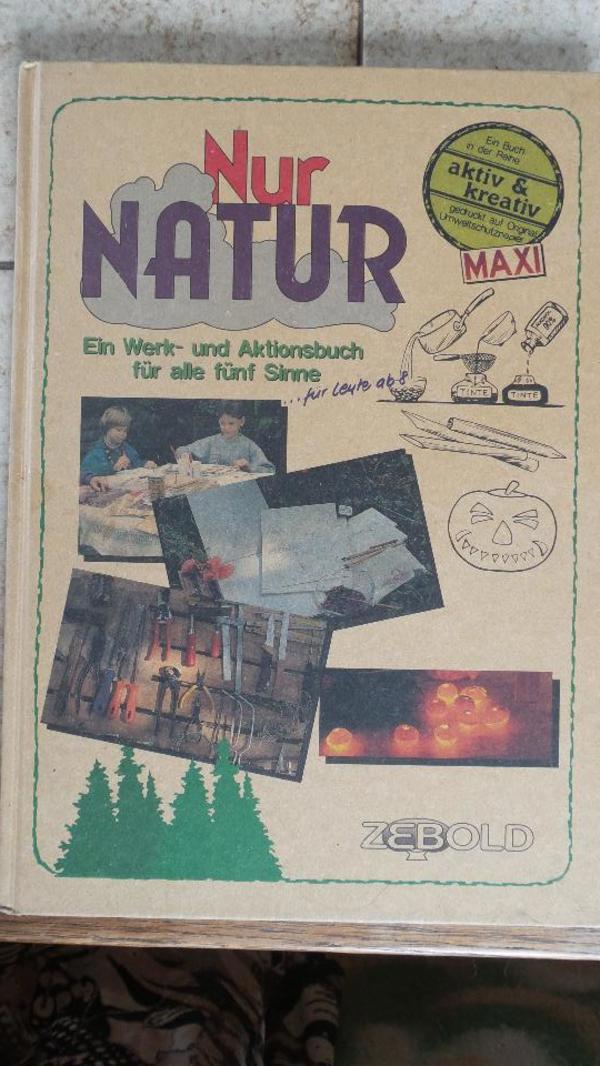 Nur Natur - Ein Werk- und Aktionsbuch für alle fünf Sinne - für Leute ab 8
