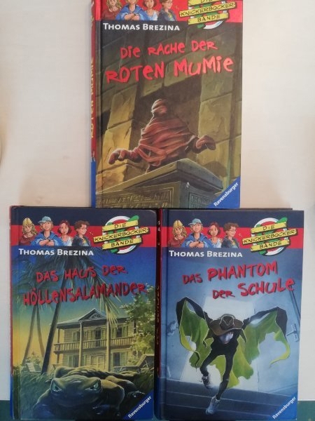 Thomas Brezina Jugendbücher 3 Stück 