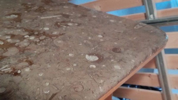 Einzigartiger Couchtisch Fossilien-Steinplatte (VHB: nur 250,-)