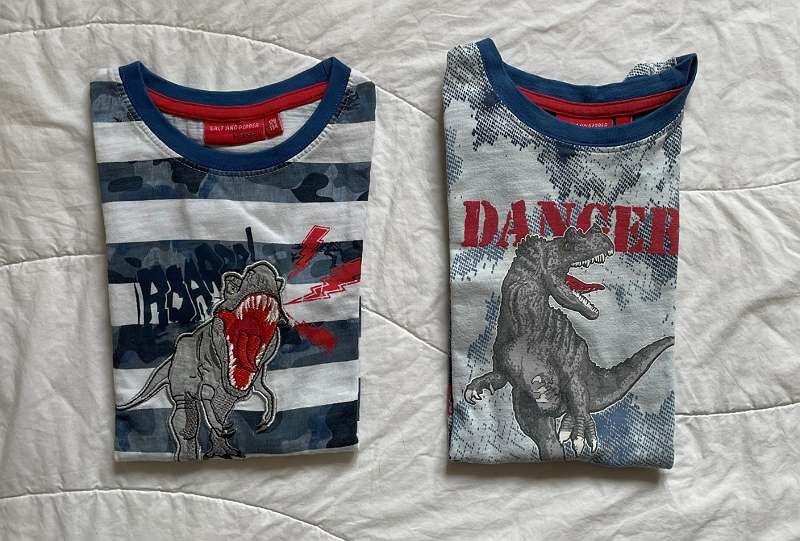 2 tolle T-Shirts Jungen, Größe 128-134, Salt & Pepper, mit Dinosaurier