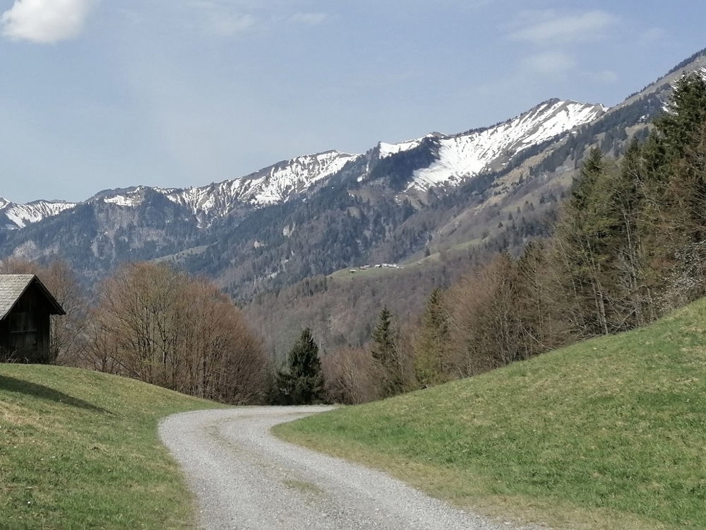 Paar sucht Baugrundstück im Bregenzerwald