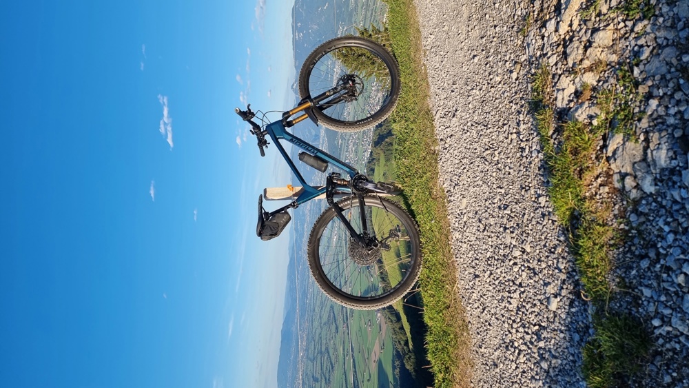 Radon Slide Trail 10.0 Carbon Mountainbike Fully MTB Cube Scott Trek 