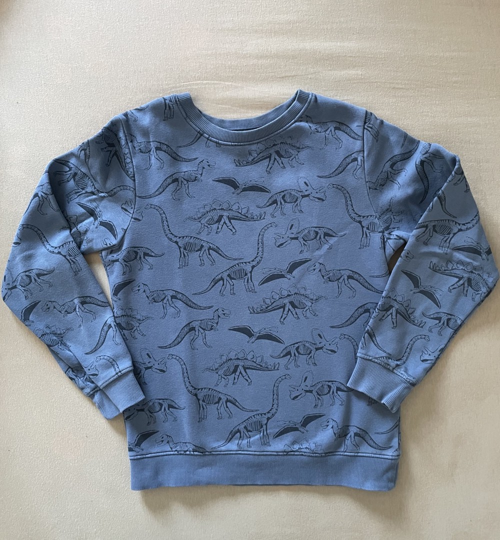 schönes Sweatshirt Jungen, H&M, Gr. 142, blau mit Dinosaurier