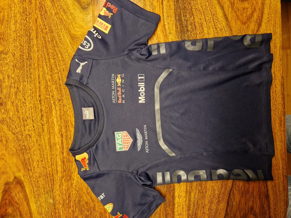 Red Bull Racing Shirt 110