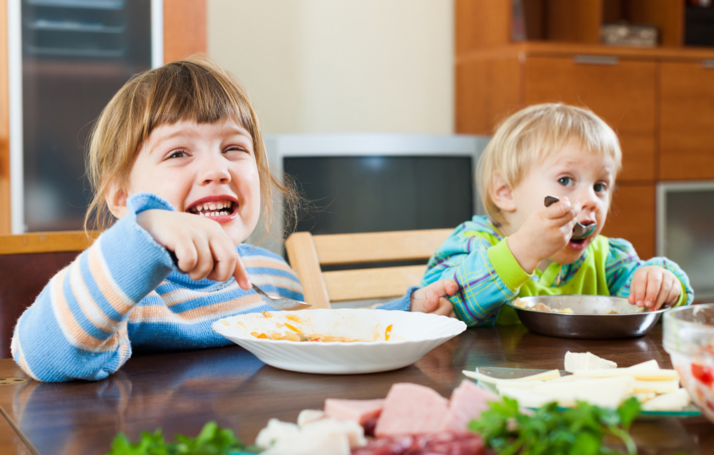 Online-Vortrag "Stressfrei essen mit Kleinkindern" 25.8.24
