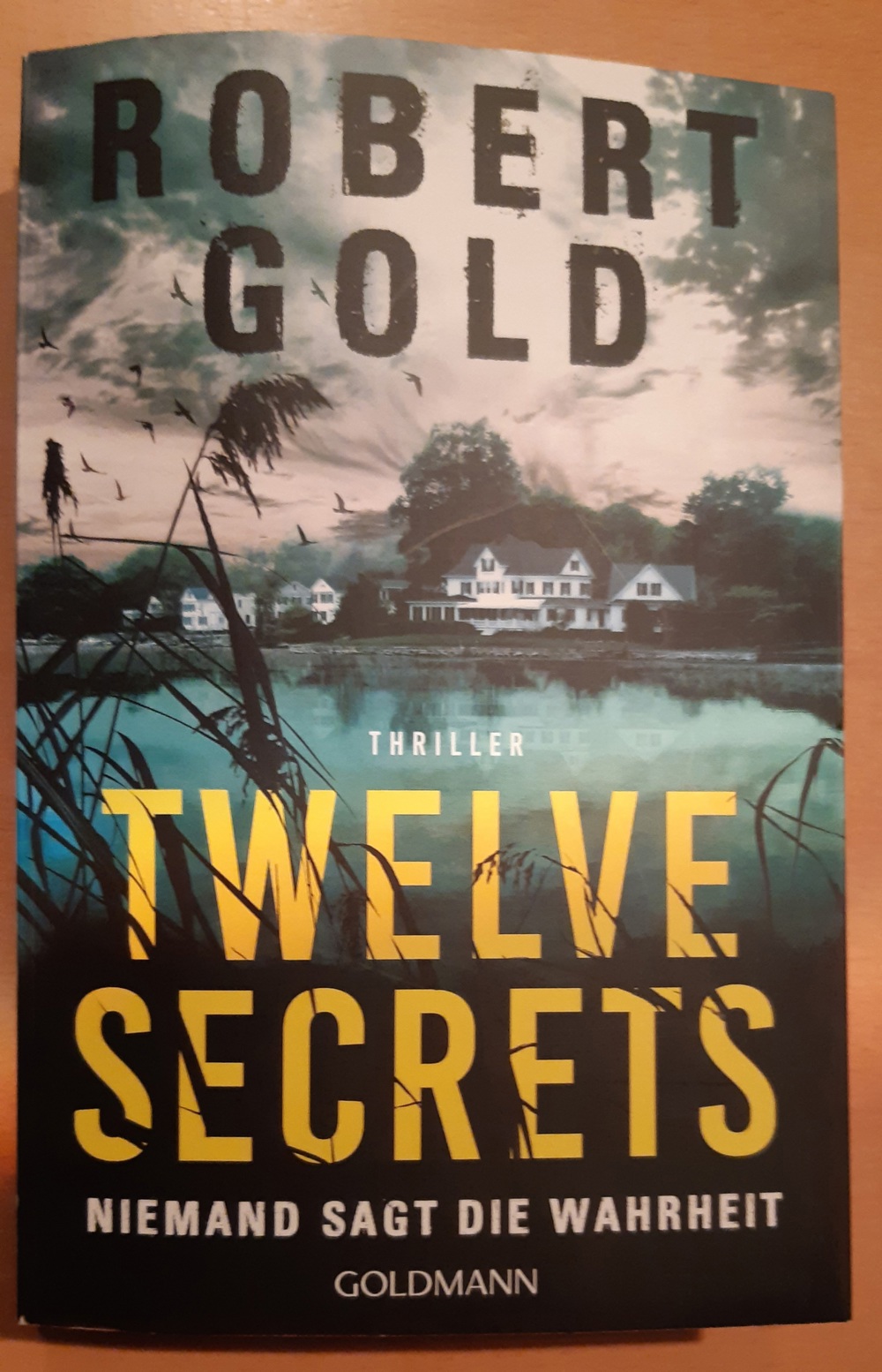 Twelve Secrets Thriller