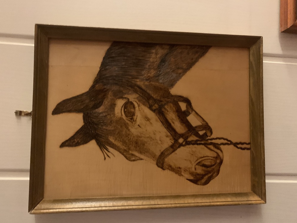 Bild auf Holz in Brenntechnik eines Pferdes schön gerahmt