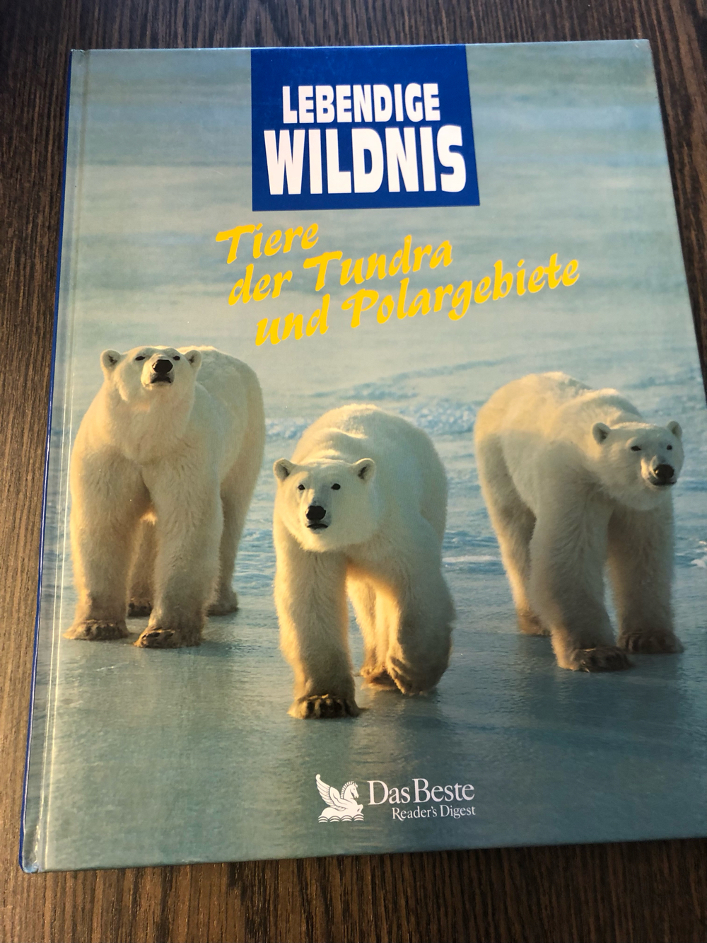 Tiere der Tundra und Polargebiete