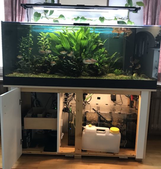 Aquarium 540 Liter mit Bio Filter
