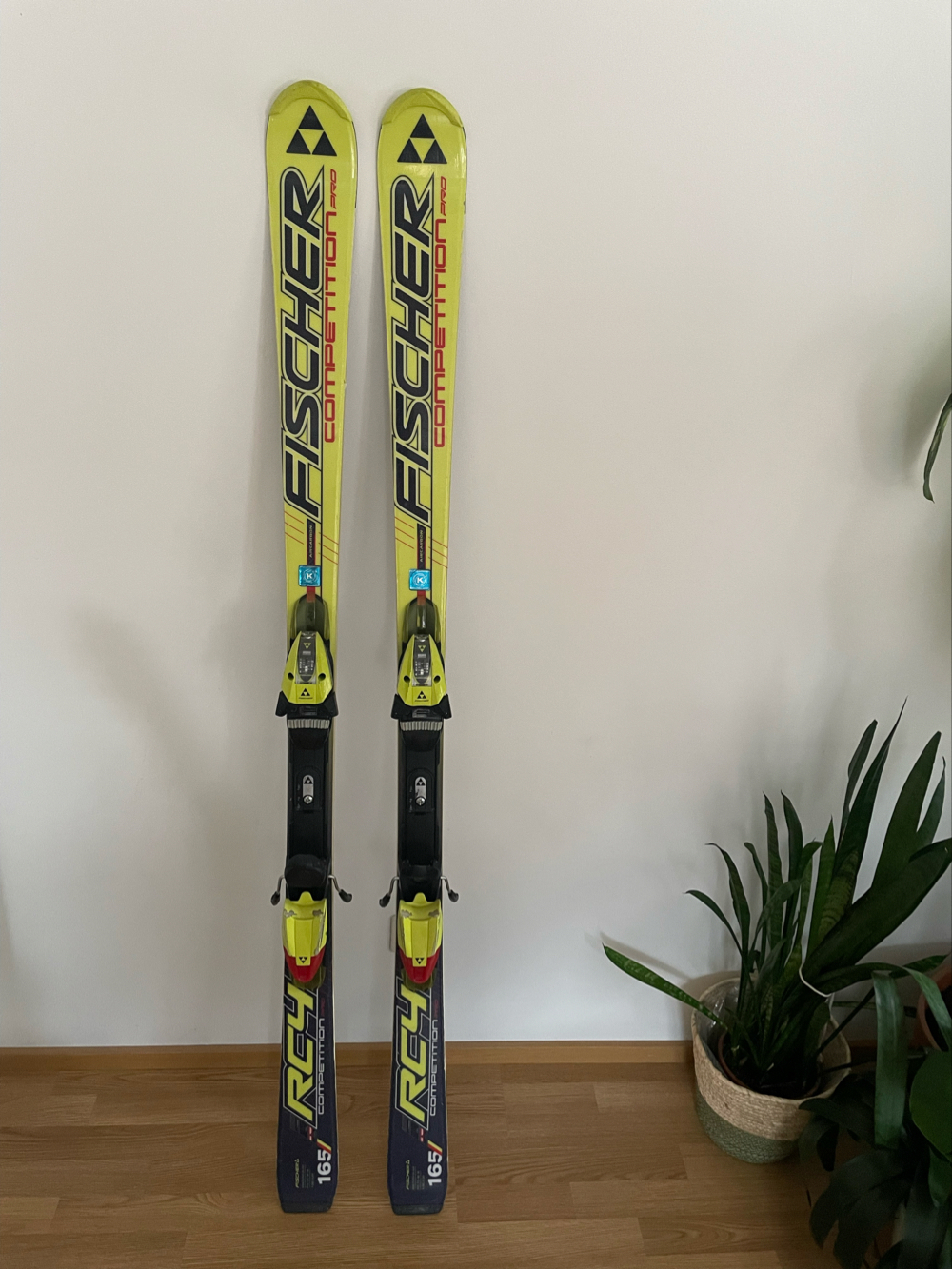 Fischer Ski 165cm