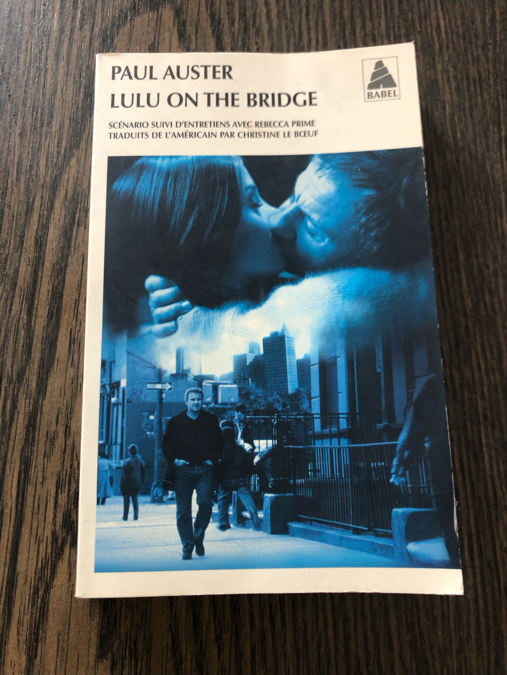 Lulu on the bridge, Paul Auster