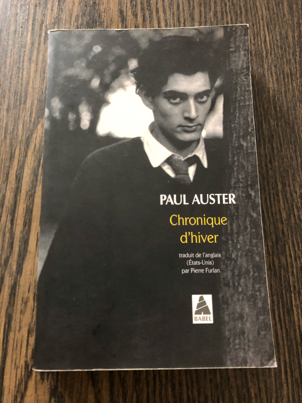 Chronique d'hiver, Paul Auster