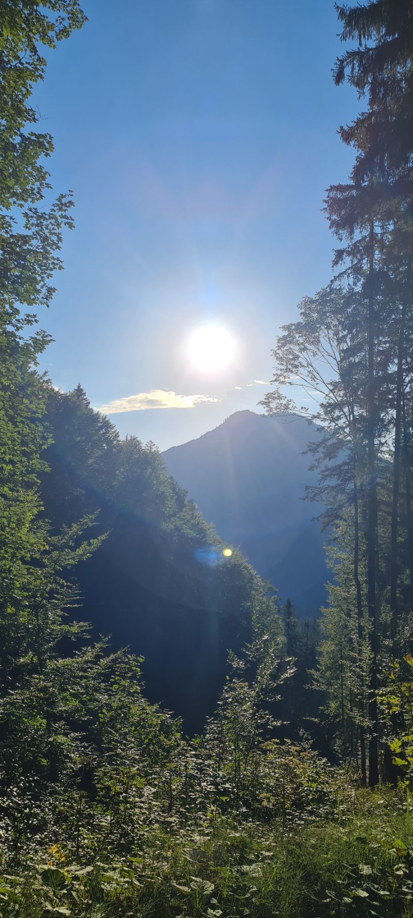 Alphütte Bregenzerwald