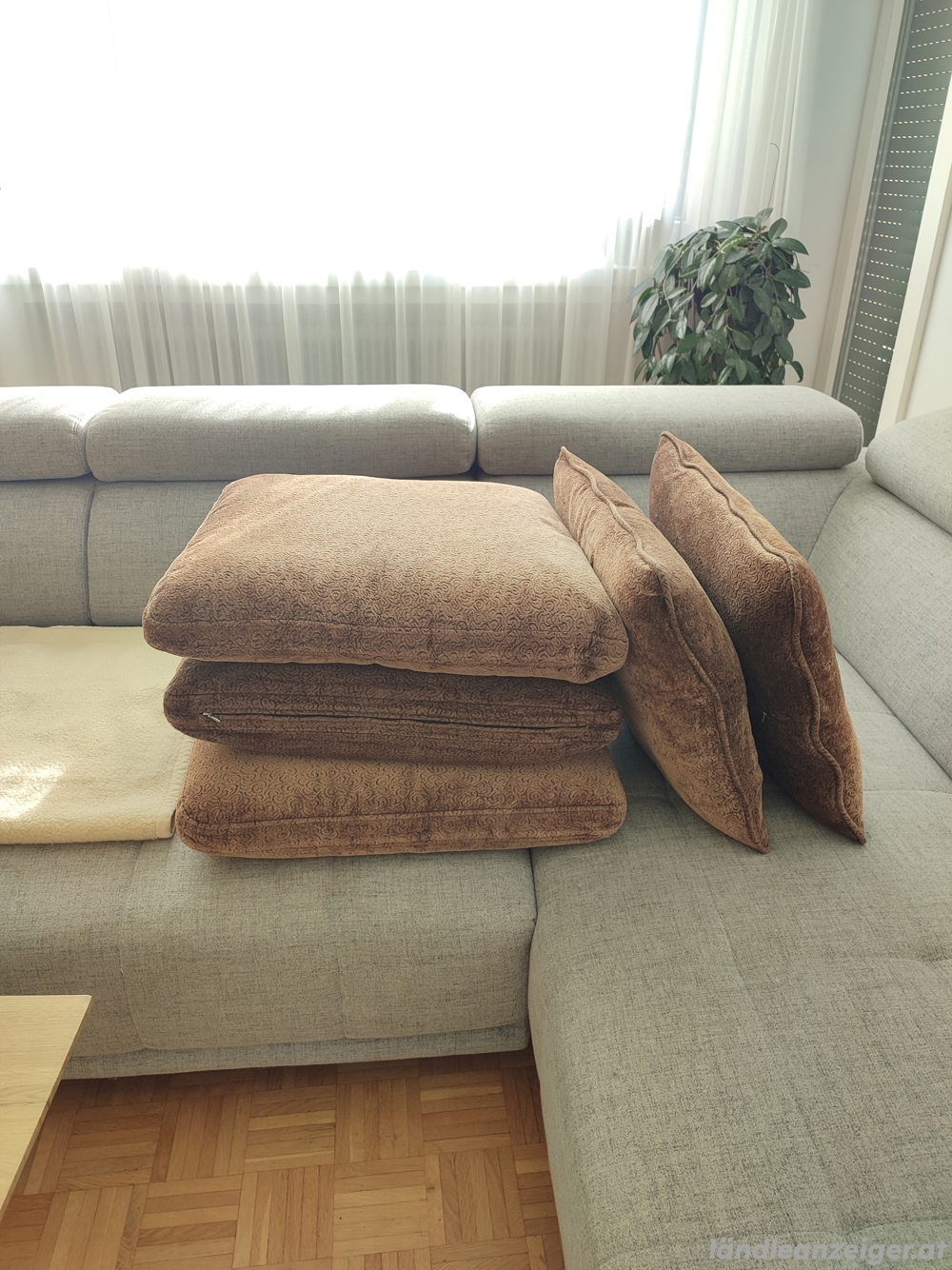 Hochwertige Polster für Couch 