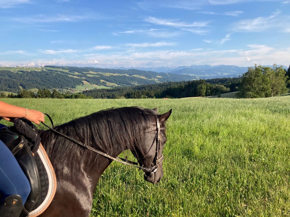 Ferien mit Pferd im Allgäu