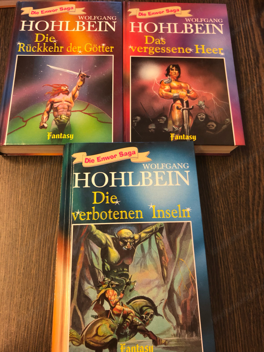 3 Bände: Die Enwor Saga, Wolfgang Hohlbein