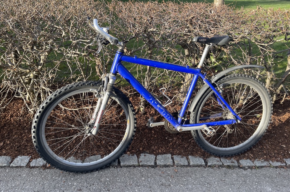 Mountainbike 26 Zoll, blau