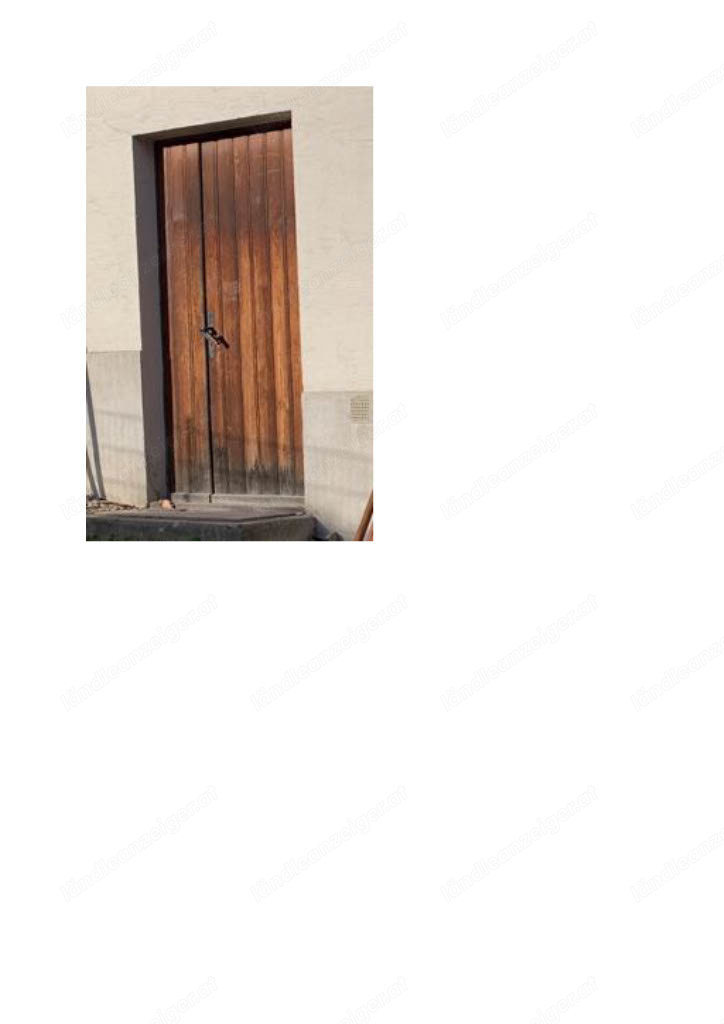 schöne Haustüre aus Lärche, zweiflügelig!  antik