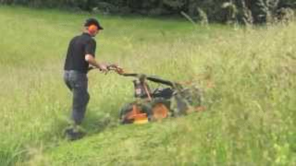 Rasenmähen und Rasenpflege. Mähen von Gras auf eine Höhe bis 100cm