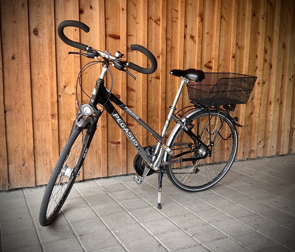 Pegasus Damenrad - Top ausgestattet, top gepflegt - Fahrrad