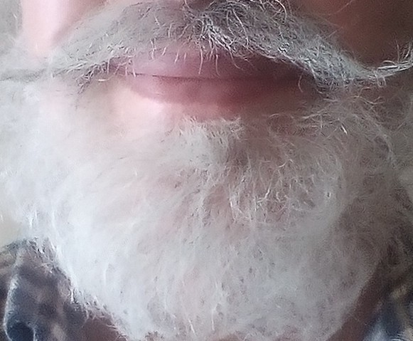Willst du mit meinem Gesicht mit Bart