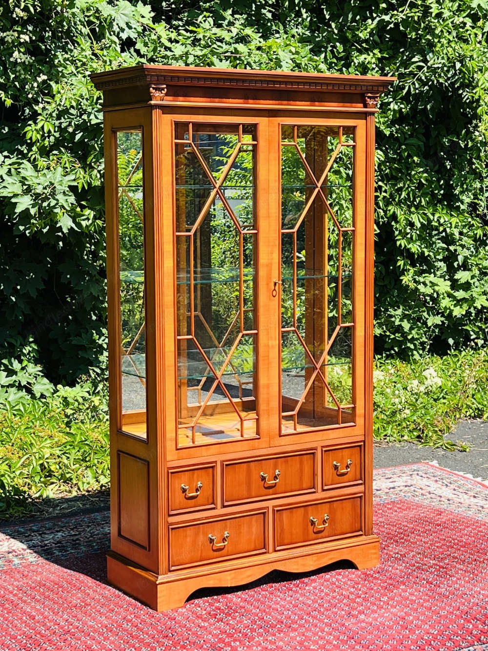 Biedermeier Vitrine England Eibe Heldense